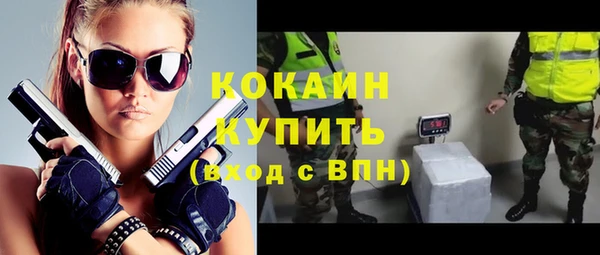 apvp Пестово