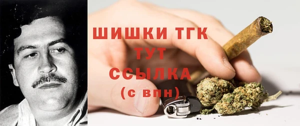apvp Пестово