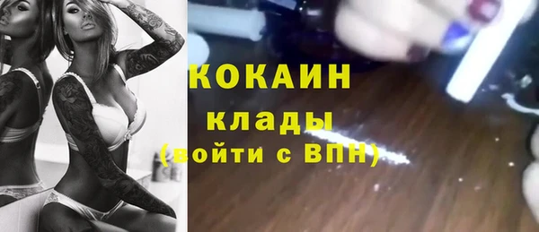 амф Пересвет