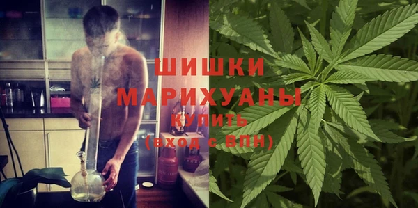 apvp Пестово