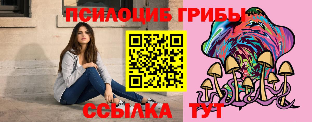 Сальск  Галлюциногенные грибы Psilocybe  Псилоцибиновые грибы мицелий  Вход с VPN 